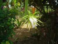 post-140056-0-30100400-1369366104_thumb.