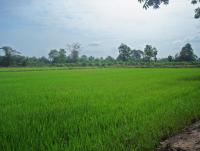 post-140056-0-35810900-1369366878_thumb.