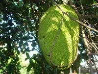 post-140056-0-54288900-1369800611_thumb.