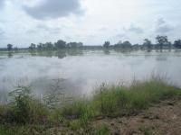 post-140056-0-55794300-1368003828_thumb.