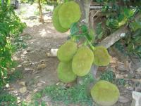 post-140056-0-78109500-1369800441_thumb.