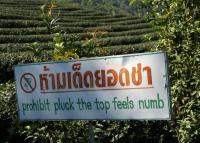 post-140056-0-89007300-1369636720_thumb.