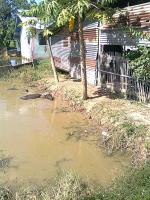 post-140056-0-95056300-1368000449_thumb.