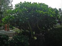 post-140056-0-98967900-1369366546_thumb.