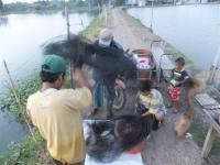 post-151569-0-28653800-1369682494_thumb.