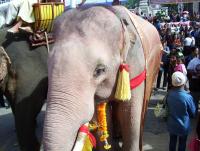 post-156201-0-28473500-1367661328_thumb.