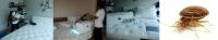 post-161356-0-13223800-1369543091_thumb.