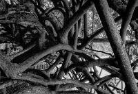 post-173096-0-48030500-1368311270_thumb.