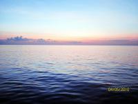 post-178808-0-11489900-1367550031_thumb.