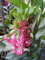 post-25023-0-20099300-1369309441_thumb.j