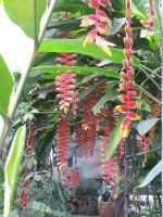 post-25023-0-74523100-1369383049_thumb.j