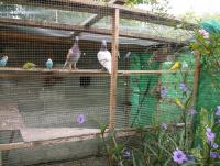 post-32351-0-16453600-1369466621_thumb.j