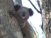 post-37733-0-34887600-1369913941_thumb.j