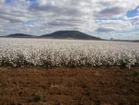 post-37733-0-68667900-1369914124_thumb.j