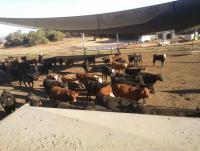 post-37733-0-83288100-1369914024_thumb.j