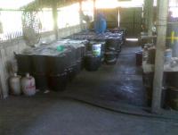 post-42398-0-31783900-1369923478_thumb.j