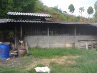 post-42398-0-84483700-1369923510_thumb.j