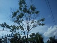 post-48157-0-07581700-1369628247_thumb.j