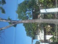 post-48157-0-60013500-1369628312_thumb.j