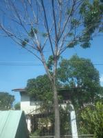 post-48157-0-65019500-1369628277_thumb.j