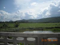 post-68260-0-55780100-1369712092_thumb.j