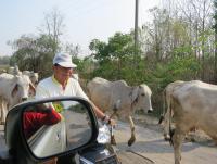 post-70928-0-19127500-1368944922_thumb.j