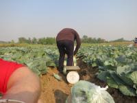 post-70928-0-34752100-1367635365_thumb.j