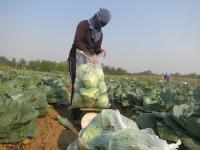 post-70928-0-35922400-1367635377_thumb.j