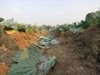 post-70928-0-38386800-1367635033_thumb.j