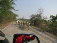 post-70928-0-50858200-1368944864_thumb.j