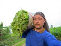 post-70928-0-57530200-1368725161_thumb.j