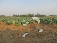 post-70928-0-58167000-1367635045_thumb.j