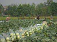 post-70928-0-63511000-1367635189_thumb.j