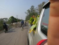 post-70928-0-69233000-1368945012_thumb.j