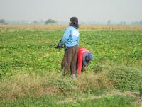 post-70928-0-77070600-1368555829_thumb.j