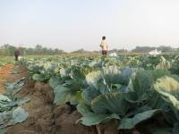 post-70928-0-91284500-1367635039_thumb.j