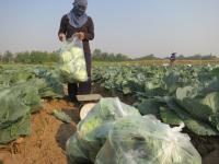 post-70928-0-98469100-1367635371_thumb.j