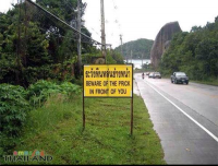 post-78923-0-36969700-1368646257_thumb.p