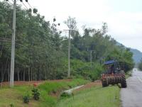 post-85853-0-22101700-1369566167_thumb.j