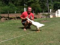 post-85853-0-25513700-1369296697_thumb.j