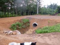 post-85853-0-26933700-1369566306_thumb.j