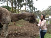 post-85853-0-28111600-1369296450_thumb.j