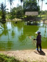 post-85853-0-28310600-1368959115_thumb.j