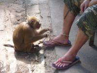 post-85853-0-30489100-1368959029_thumb.j