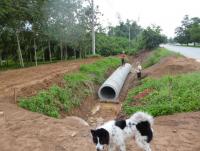 post-85853-0-35221000-1369566262_thumb.j