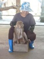 post-85853-0-46186300-1368958960_thumb.j