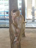 post-85853-0-47954900-1368958925_thumb.j