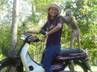 post-85853-0-66222900-1368959063_thumb.j