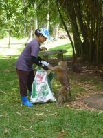 post-85853-0-71193600-1368959144_thumb.j