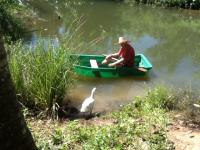 post-85853-0-80711100-1369296721_thumb.j